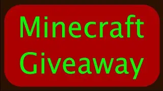 Minecraft Giveaway Winner 2020