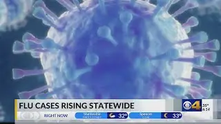 Flu cases rising in Indiana