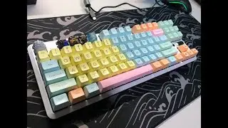 RAKK Lam-Ang Pro RGB Mechanical Keyboard Sound Test