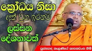 ක්‍රෝධය නිසා අත් වුන ඉරනම ලස්සන දේශනාවක් | Kelaniye Sasanawansa Thero | Mindful Wisdom #Bana