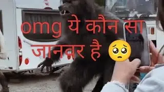 #viral videos #viral loop live❤️