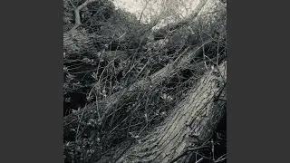 SevenThree