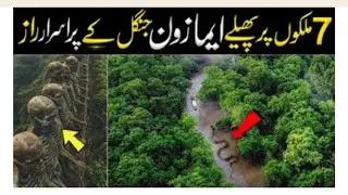 Most Amazing Facts About the Amazon Rainforest