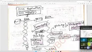 CELL BIOLOGY CLASS 3
