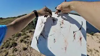 Second Painting at Buffalo Springs Lake &ndash; Ransom Canyon Was Off-Limits
