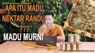 MENGENAL MADU RANDU MURNI DAN MANFAATNYA - MADU MURNI FLORANESIA NUSANTARA