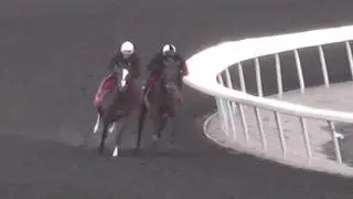 Spotlight and Skyluck