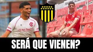 PEÑAROL: MERCADO DE PASES | VIENEN? 