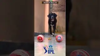 MI VS RCB I MATCH PREDICTION | IPL 2025 | MATCH NO.20 | #ipl2025 #mi #rcb #predictions #shortvideo