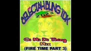 SELECTAH BLING TDK - GI MI DI THING MIX (FIRE TIME PART 3)