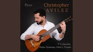 Vals No. 17 in A Minor