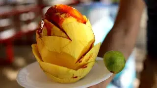 Let's find vegan foods at the State Fair of Texas!