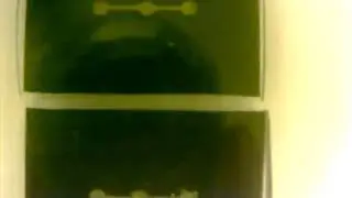 20101203-30fps.avi