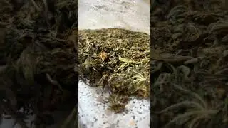 Sous Vide Cannabis Butter - Canna Butter Tutorial
