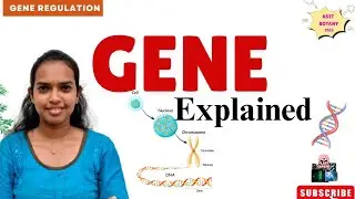 Gene Explained| Structure, Function & Types|