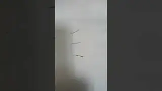 Prank 2 Turned into Countryballs