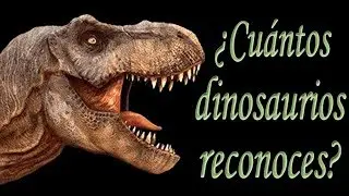 ¿CUÁNTOS DINOSAURIOS RECONOCES? (Trivia/Test)