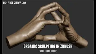 Organic Sculpting in Zbrush - 05 First Subdivision