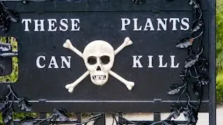 (Deadly Plants) Dangerous Plants Documentary 2017
