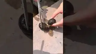 #dailyshorts #shortvideo #nature #trending #viral #Rynza