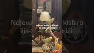 Salihu e Ferizi-Ndjeva qun ty tẽ kish ra lija