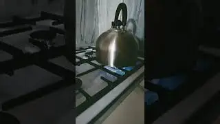 Ночь. Чаепитие. Прямой эфир.