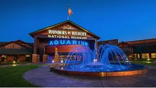 Wonders of Wildlife Aquarium | #1 TOP RATED |
