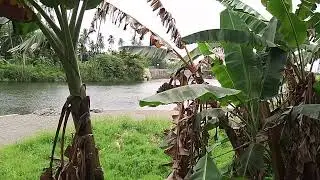 Tapi Ayia Bendungan