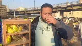 توقف اللم💚اليوم من اجمال أيام سوق الأحد ١٨يناير⁉️شوف الناس باعت ايه وبكام🌶وأسعار العصافير من السوق⁉️
