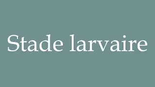 How to Pronounce ''Stade larvaire'' (Larval stage) Correctly in French