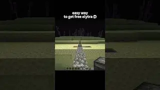 Minecraft free elytra moments