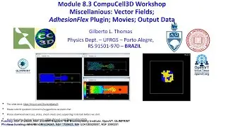 CompuCell3D WS 2025: 8.3: CC3D Features [Gilberto Thomas] August 6, 2025