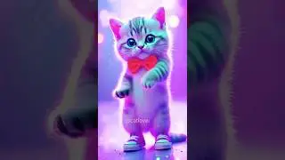 cute cat super dance  🥳🫶 #shortfeedcat #catviraldancemusic #0198