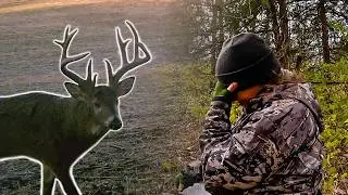 I Hunted ONE Deer for an Entire Season&hellip; It Nearly Broke Me