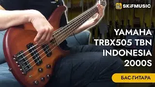 Бас-гитара Yamaha TRBX505 TBN Indonesia 2000s | SKIFMUSIC.RU