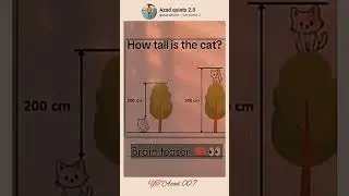 How tall is the cat? # short video #subscribe my chennal