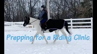 BARN VLOG #27 | Prep for My Clinic & NEW SADDLE REVEAL!
