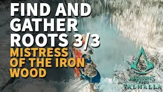 Find and gather the roots Assassin's Creed Valhalla (Roots gathered 3/3)
