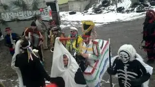 KOZY ZAPUSTY TORZEWO 2013
