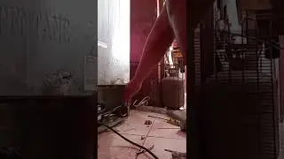 Repair appliances #replace #parts #shorts #circuit #subscribe @JuanitoVerzosa refrigerator not work