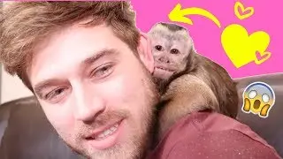 Girl Monkey Reacts to New Boyfriend! (FREAK OUT)
