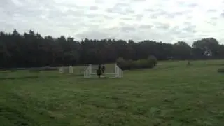 The Mighty Mouse Overall Working Hunter Champ Hill House Se