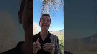Core Negative Image from Relational Life Therapy