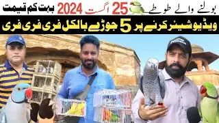 Lahore Sunday Birds Market 2024 | Sunday Birds Market Latest Price Update