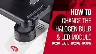 How to change the halogen bulb & LED module of a BA210, BA310, BA210E and BA310E | by Motic Europe