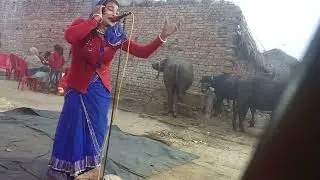 21 दिसंबर 2महेशकुमार9161088470
