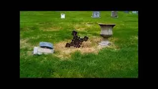 Death and Renewal at the Cemetery