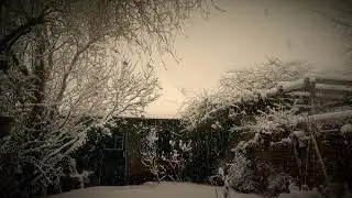 Winter Fire (lofi beat to cozy up by the fire)