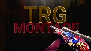 TRG 22 Gameplay / Critical Ops