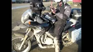Deadhorse